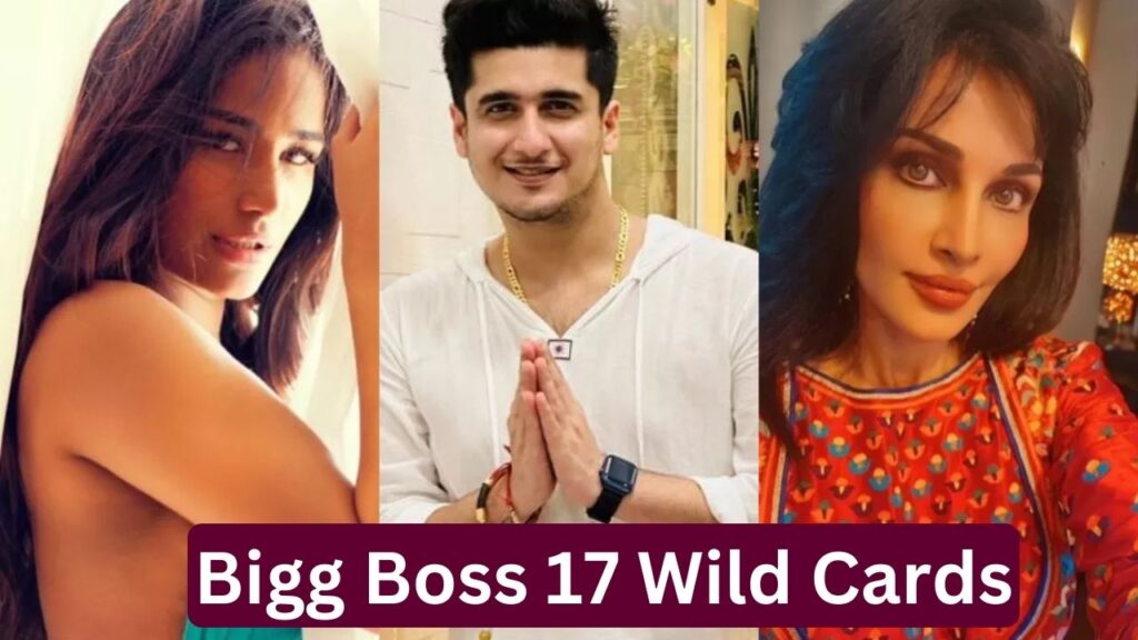 Bigg Boss 17 Wild Cards